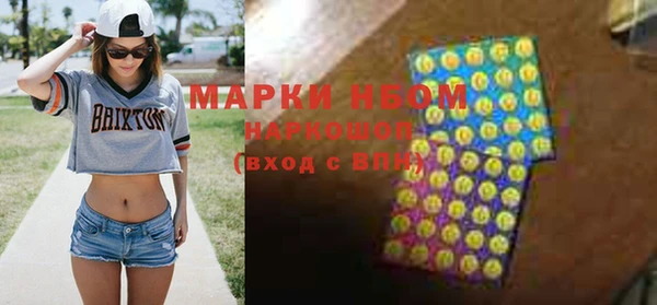 индика Абинск