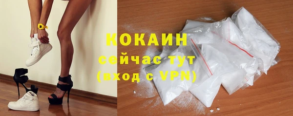 индика Абинск