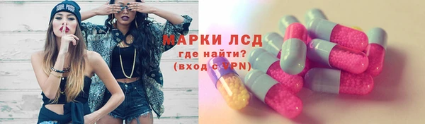 ГАЛЛЮЦИНОГЕННЫЕ ГРИБЫ Абаза