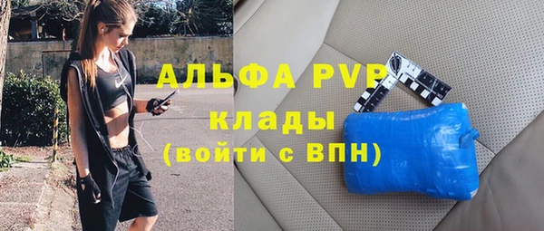 ГАЛЛЮЦИНОГЕННЫЕ ГРИБЫ Абаза