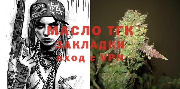 индика Абинск