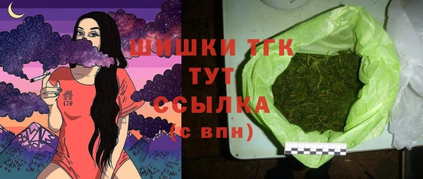 бошки Гатчина