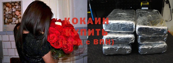 индика Абинск