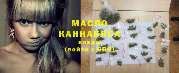 индика Абинск